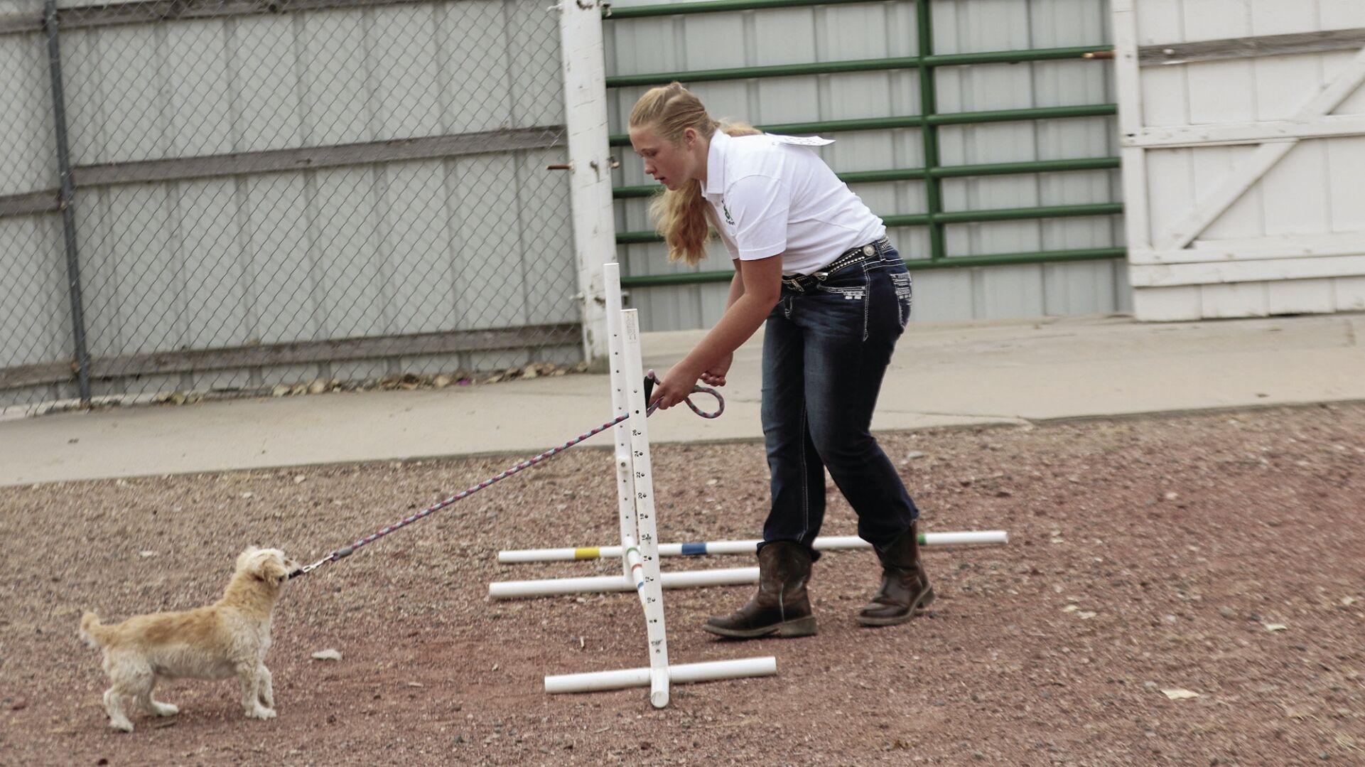 PHOTOS: Scotts Bluff County Fair Dog Show 2020